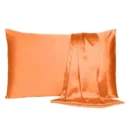 2 ps Satin Pillowcases